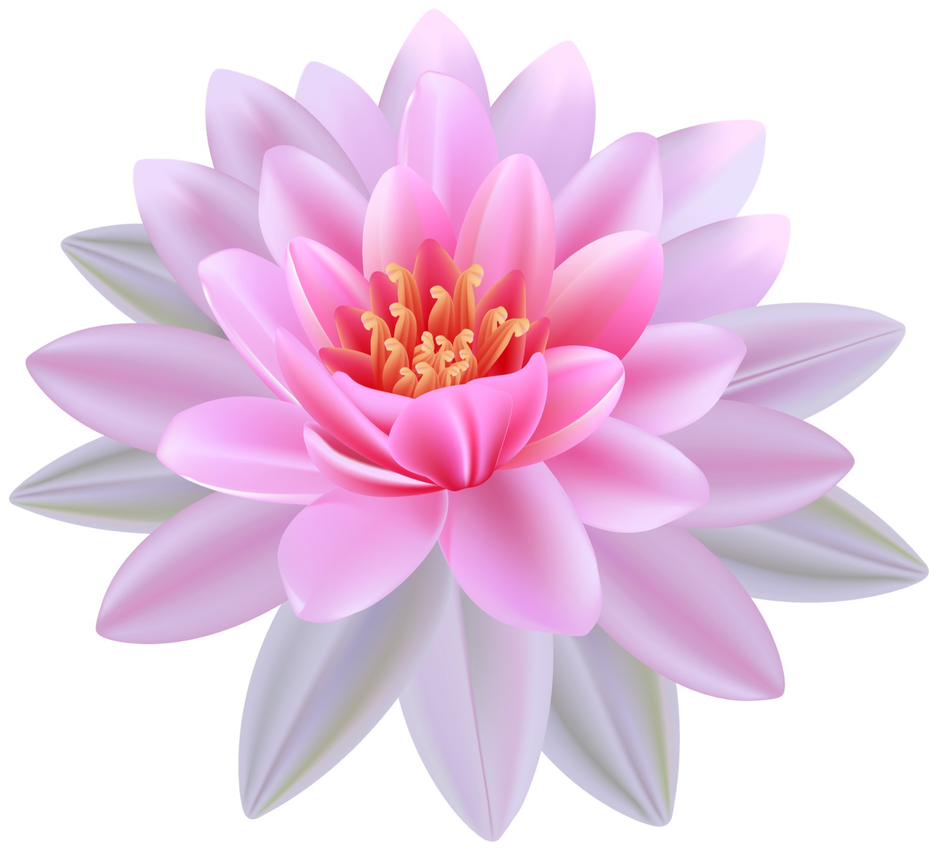 Udompon Thai Massage